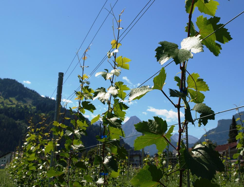Gielerhof Apartman Zell am Ziller Kültér fotó